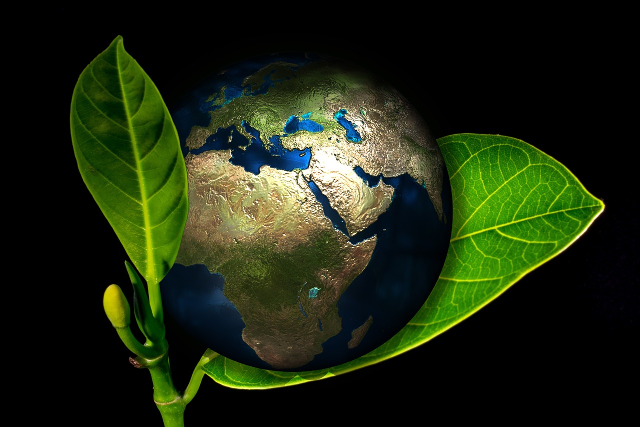 L'éducation au développement durable